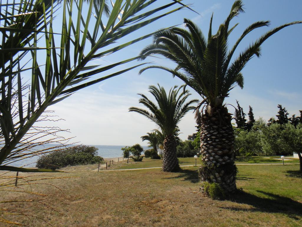 Afroditi Beach Γερακινή Εξωτερικό φωτογραφία
