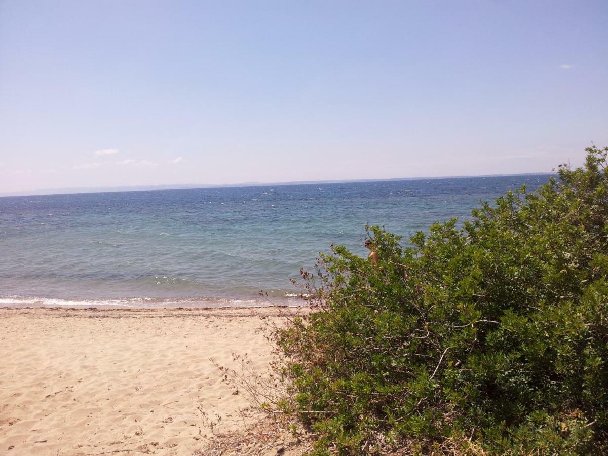 Afroditi Beach Γερακινή Εξωτερικό φωτογραφία